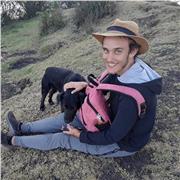 Privater Englischlehrer in Passau - Erfahren und individuell.